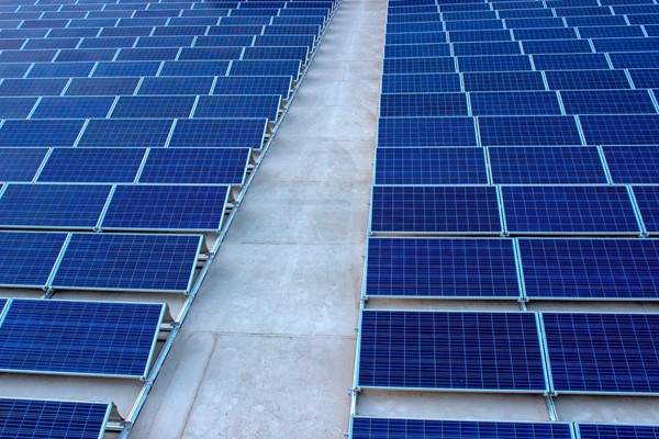 esempi aziende green