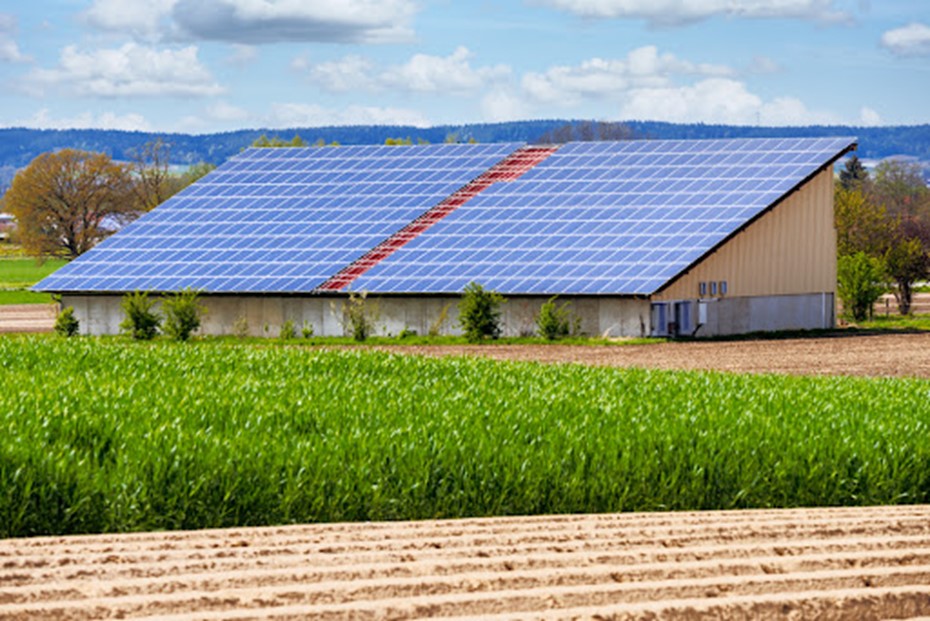 impianto-fotovoltaico-agricoltura